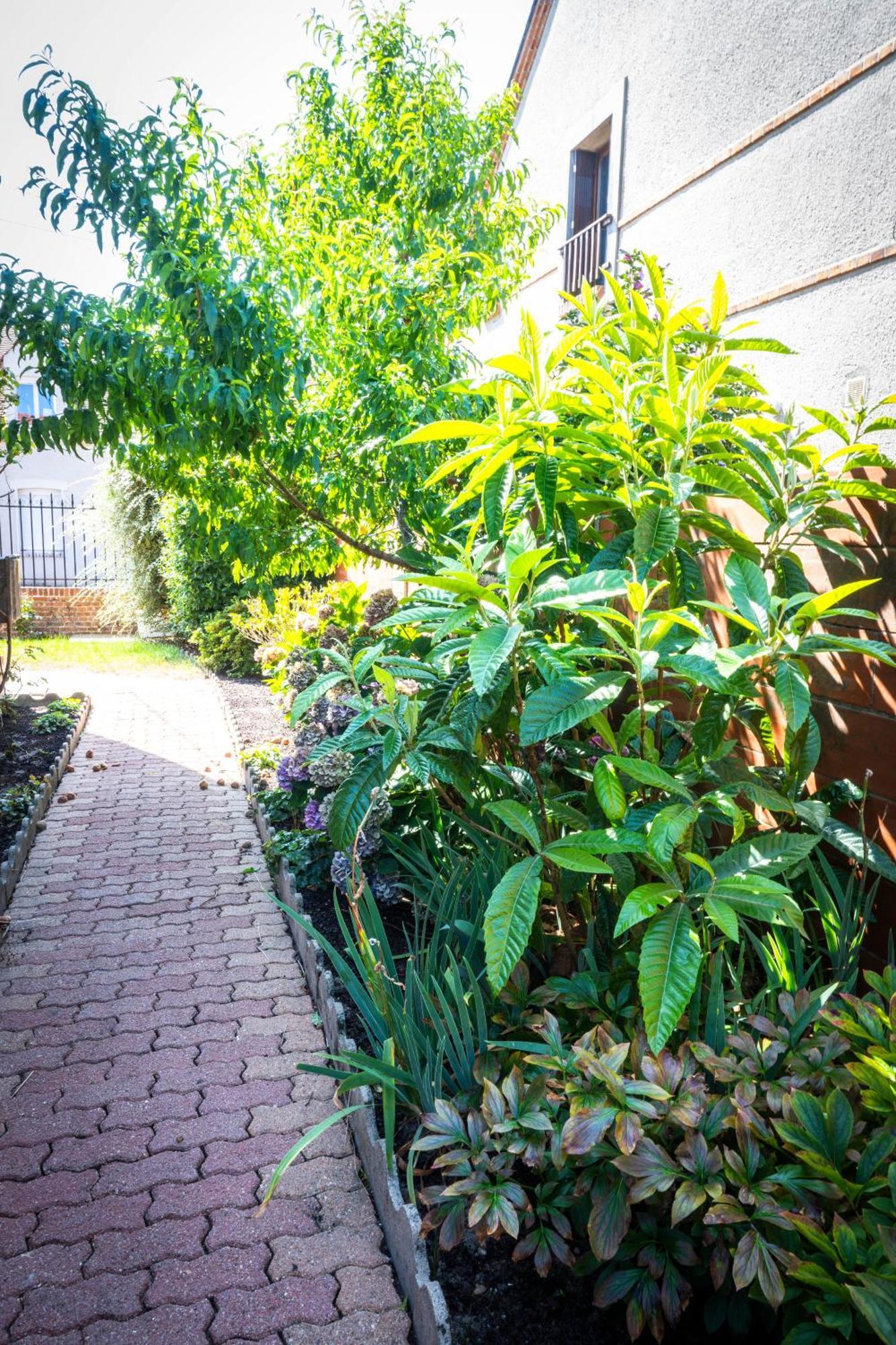 "Le 35" Maison Renovee Avec Jardin Proche Centre Lamotte-Beuvron Extérieur photo